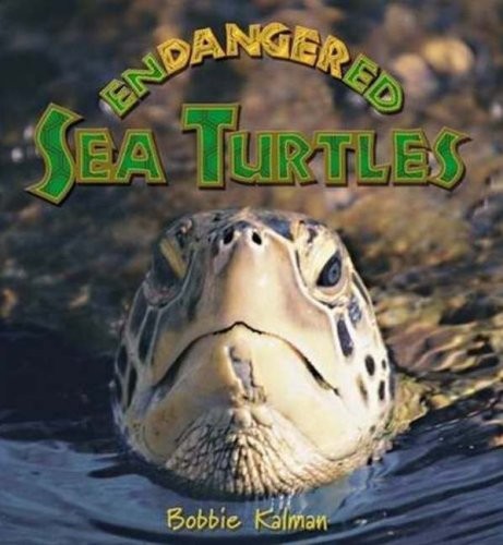 Endangered sea turtles - sea, (earths