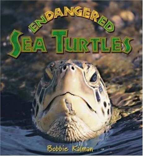 Endangered sea turtles - sea,