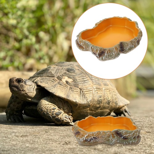 Vaschetta tartaruga terra - tartaruga,