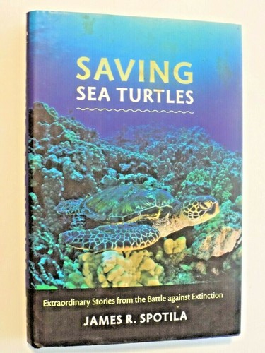 Saving sea turtles - turtles,