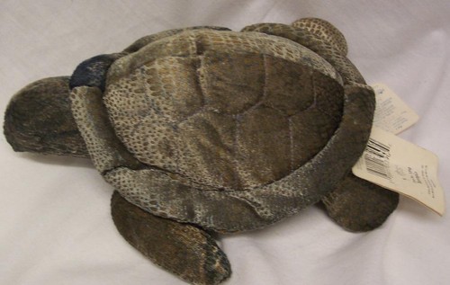 Russ zonies terrapin turtle - turtle, 8"