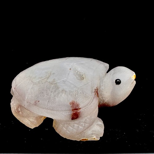Tartaruga agata intagliata - , a
