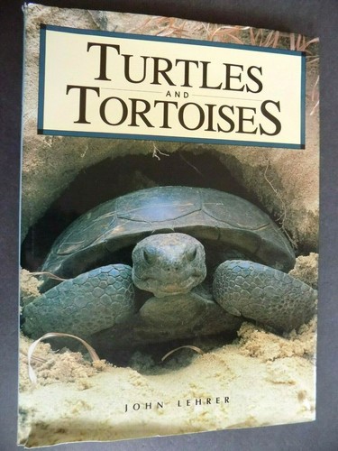 Turtles and tortoises - turtles,
